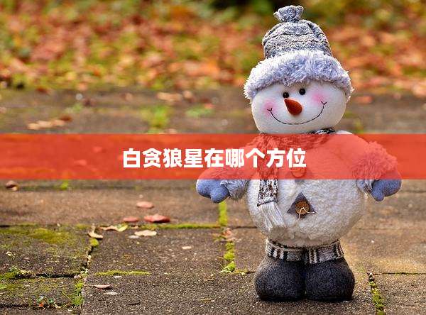 白贪狼星在哪个方位