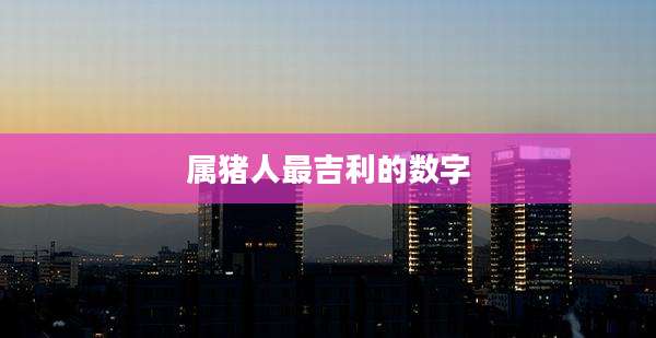 属猪人最吉利的数字
