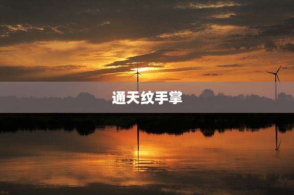 通天纹手掌