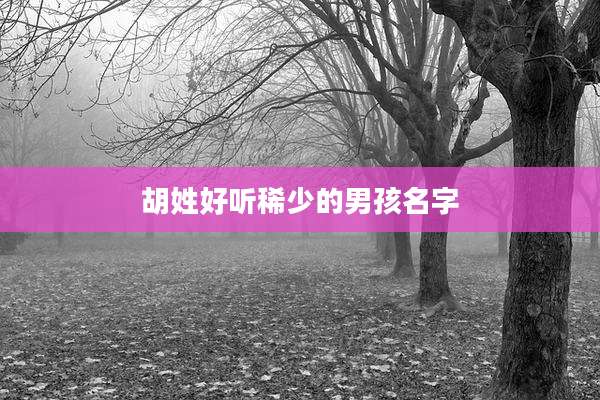 胡姓好听稀少的男孩名字