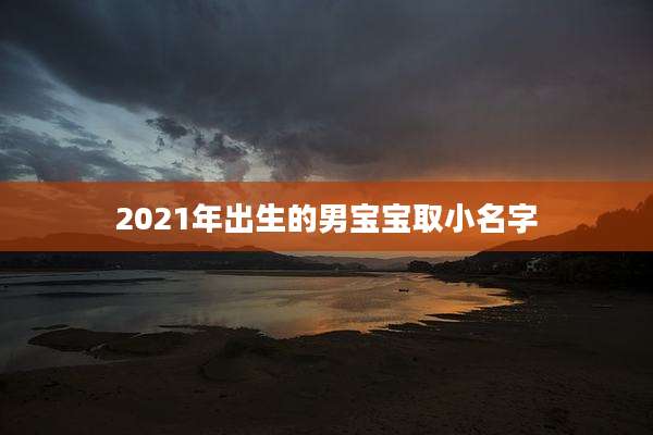 2021年出生的男宝宝取小名字