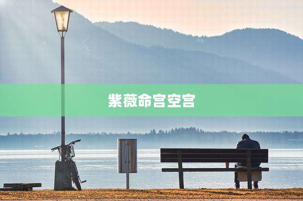 紫薇命宫空宫