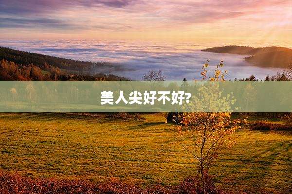 美人尖好不好?