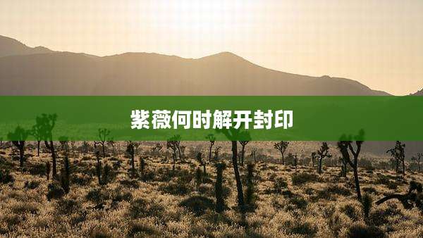 紫薇何时解开封印