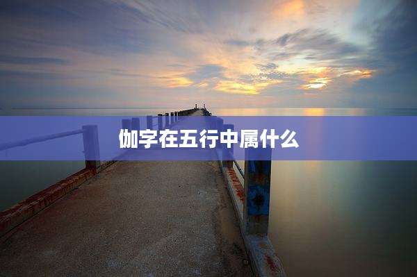 伽字在五行中属什么