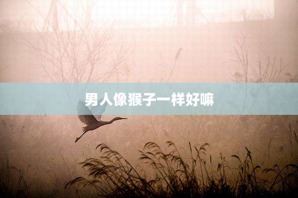 男人像猴子一样好嘛
