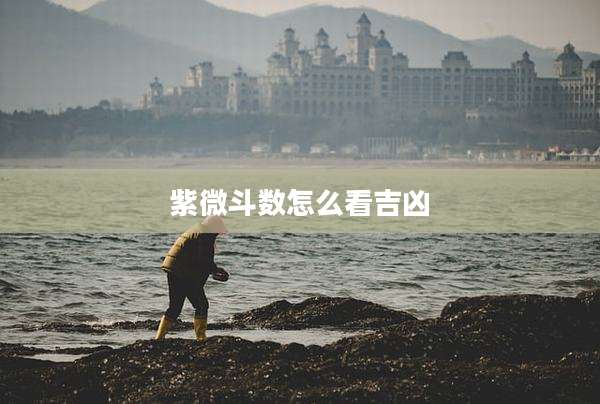 紫微斗数怎么看吉凶