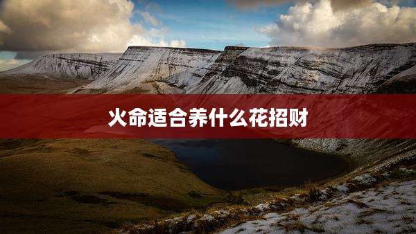 火命适合养什么花招财