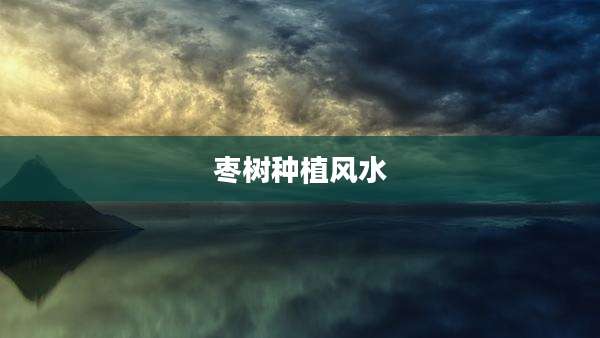 枣树种植风水