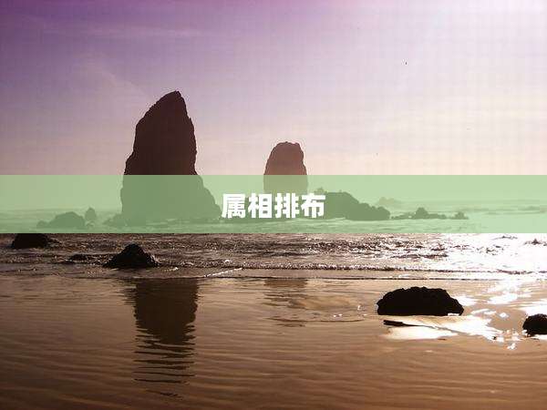 属相排布