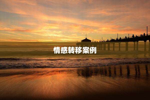 情感转移案例