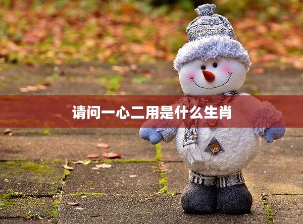 请问一心二用是什么生肖
