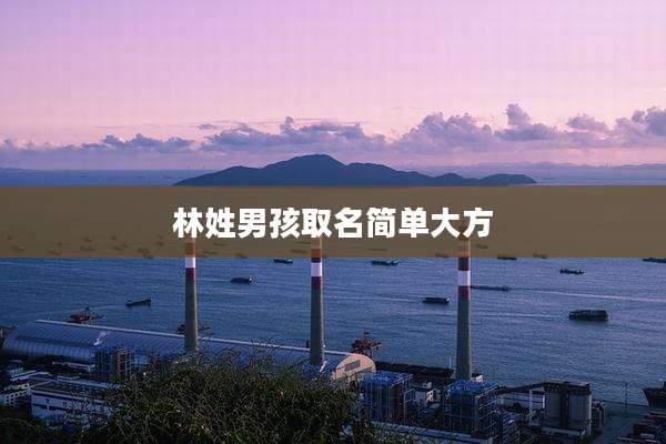 林姓男孩取名简单大方