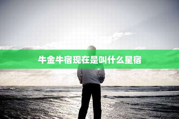 牛金牛宿现在是叫什么星宿