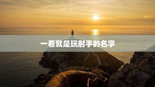 一看就是玩射手的名字