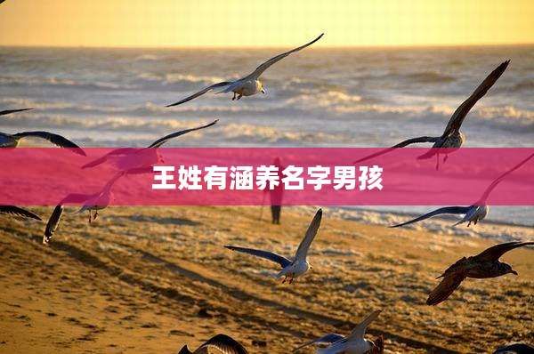 王姓有涵养名字男孩