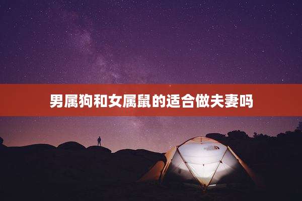 男属狗和女属鼠的适合做夫妻吗