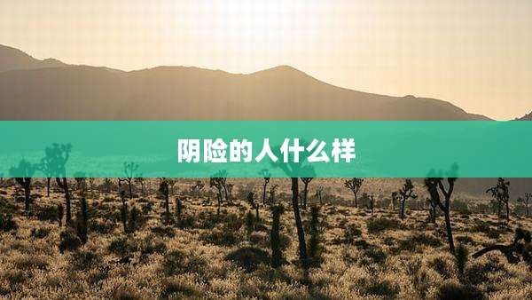 阴险的人什么样