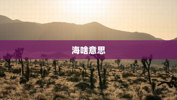 海啥意思