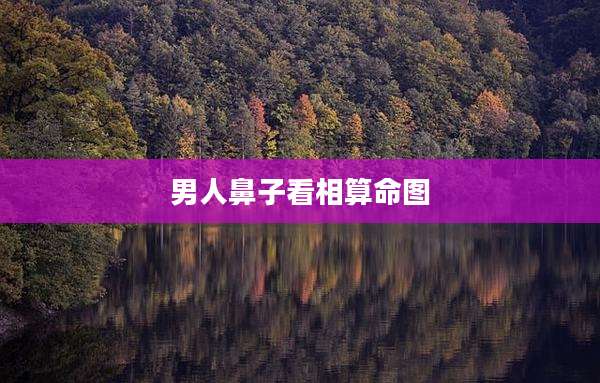 男人鼻子看相算命图