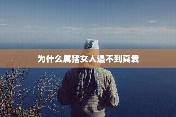 为什么属猪女人遇不到真爱