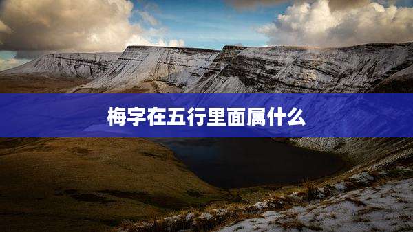 梅字在五行里面属什么