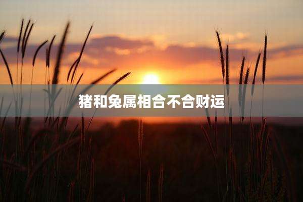 猪和兔属相合不合财运