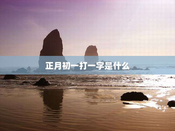正月初一打一字是什么