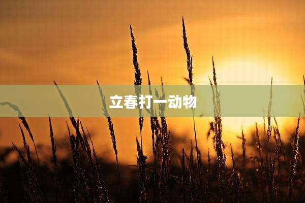 立春打一动物