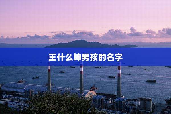 王什么坤男孩的名字