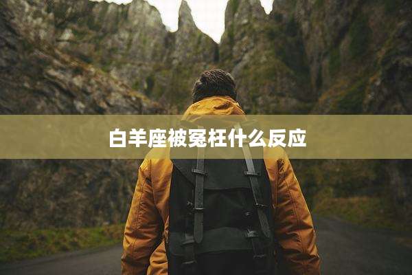 白羊座被冤枉什么反应
