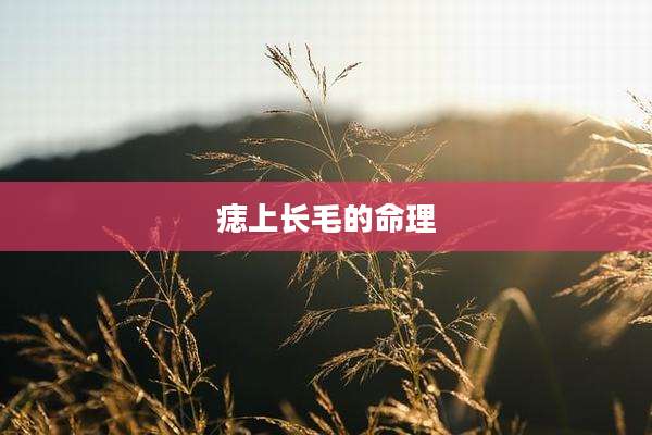 痣上长毛的命理