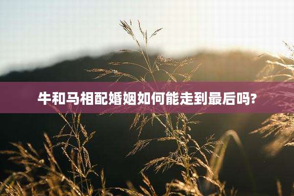 牛和马相配婚姻如何能走到最后吗?
