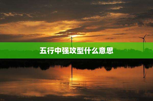 五行中强攻型什么意思