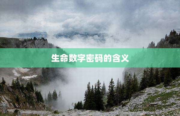 生命数字密码的含义