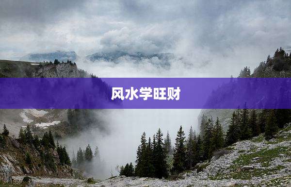风水学旺财