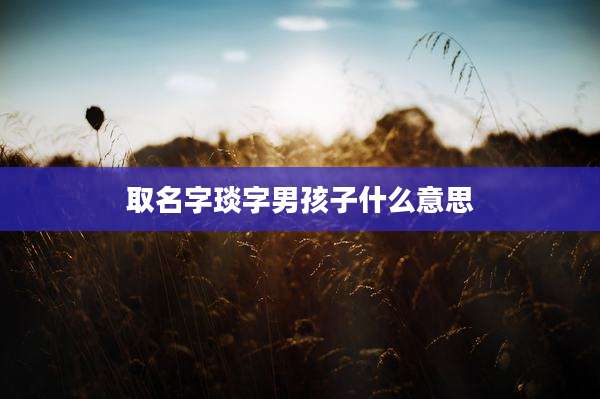 取名字琰字男孩子什么意思