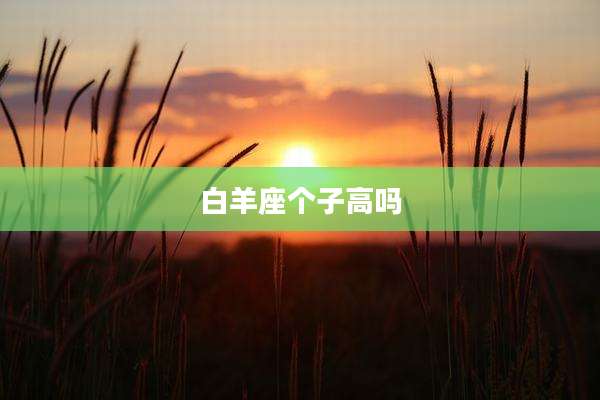 白羊座个子高吗