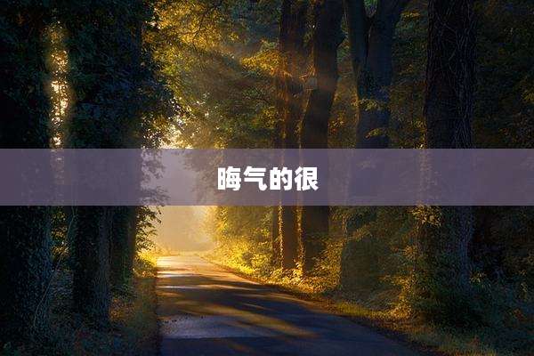 晦气的很