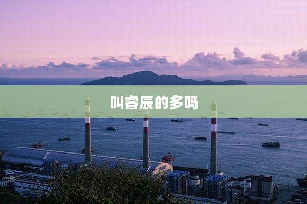 叫睿辰的多吗