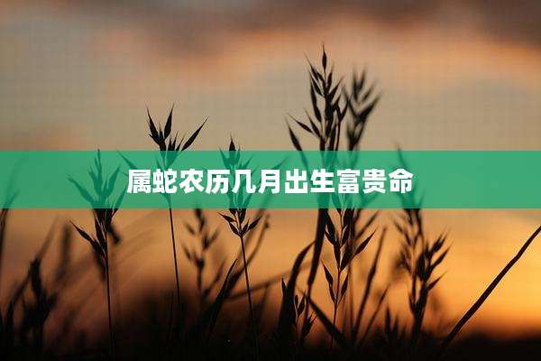 属蛇农历几月出生富贵命