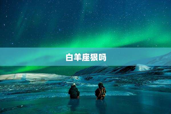 白羊座狠吗