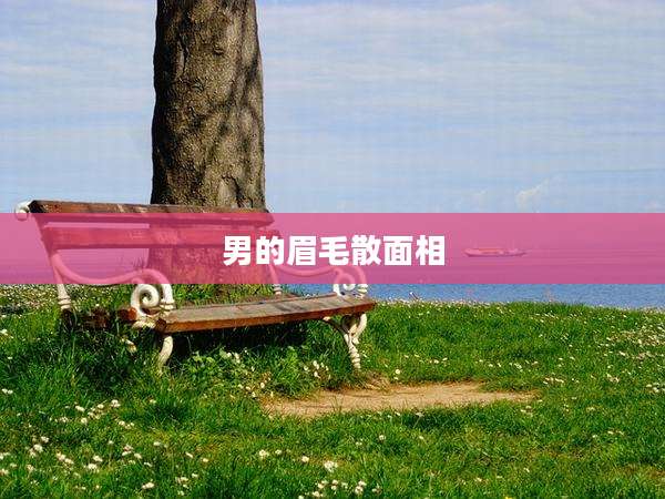 男的眉毛散面相