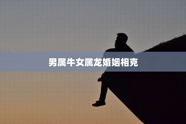 男属牛女属龙婚姻相克
