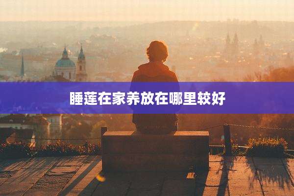 睡莲在家养放在哪里较好