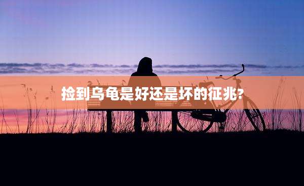 捡到乌龟是好还是坏的征兆?