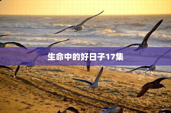 生命中的好日子17集