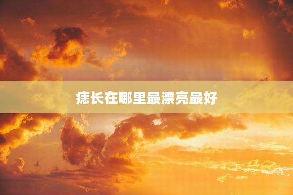 痣长在哪里最漂亮最好