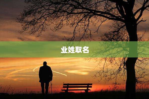 业姓取名