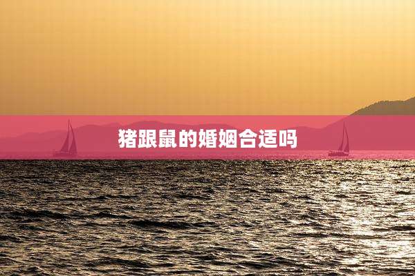 猪跟鼠的婚姻合适吗